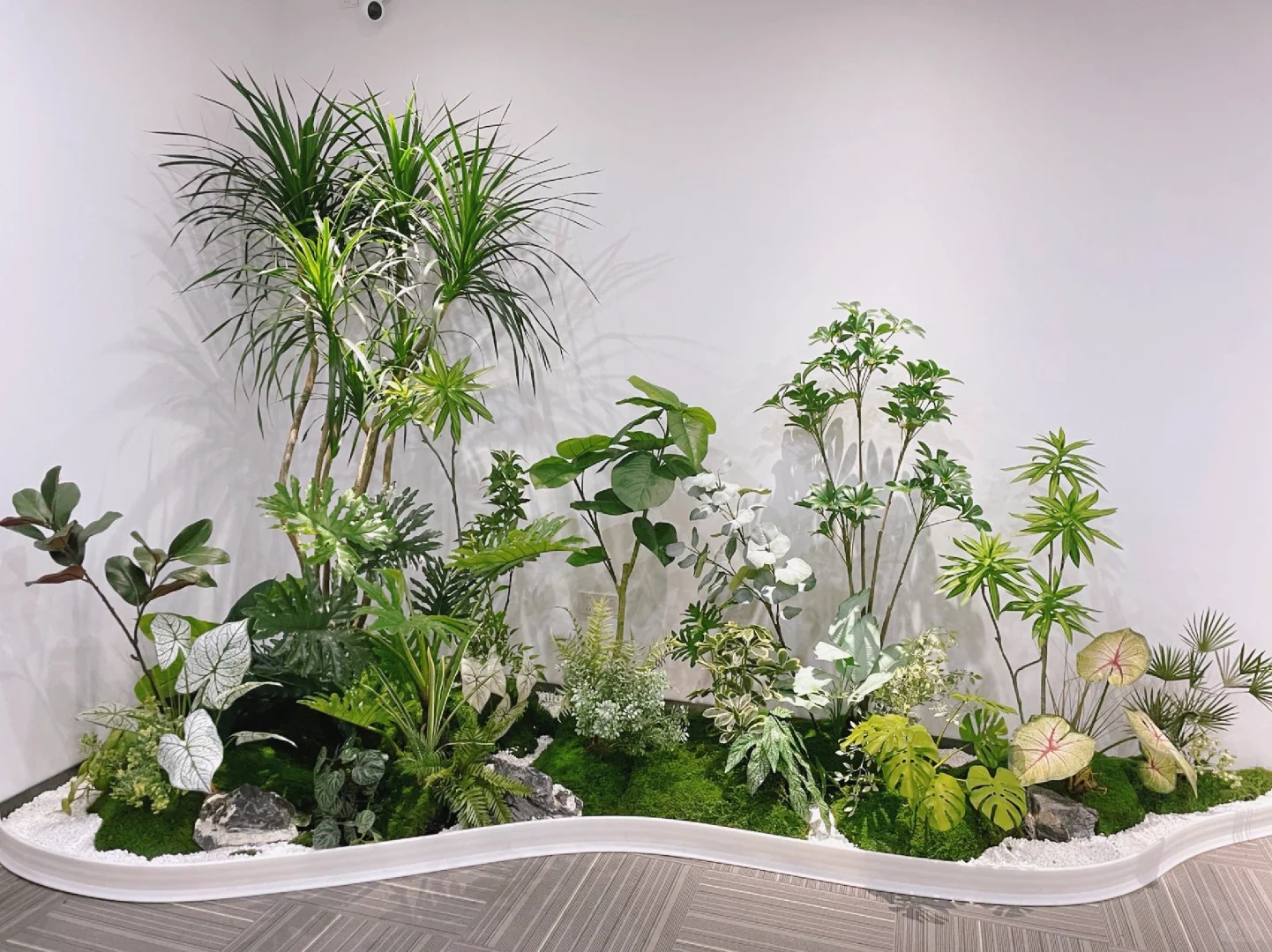 体验宁波杭州湾花木租摆,品味绿植之美